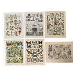 Reserved Marion - Lot of 6 lithos
