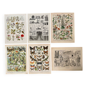 Reserved Marion - Lot of 6 lithos
