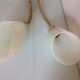 Double fire wall lamp in brass and glass cornet years 50/60