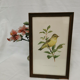 Lithograph hippolais icterina vintage bird (19x27cm)