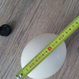 Ostrich egg with support