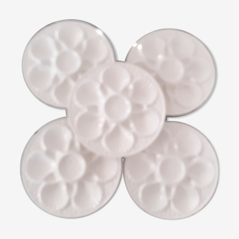 5 White ceramic oyster plates
