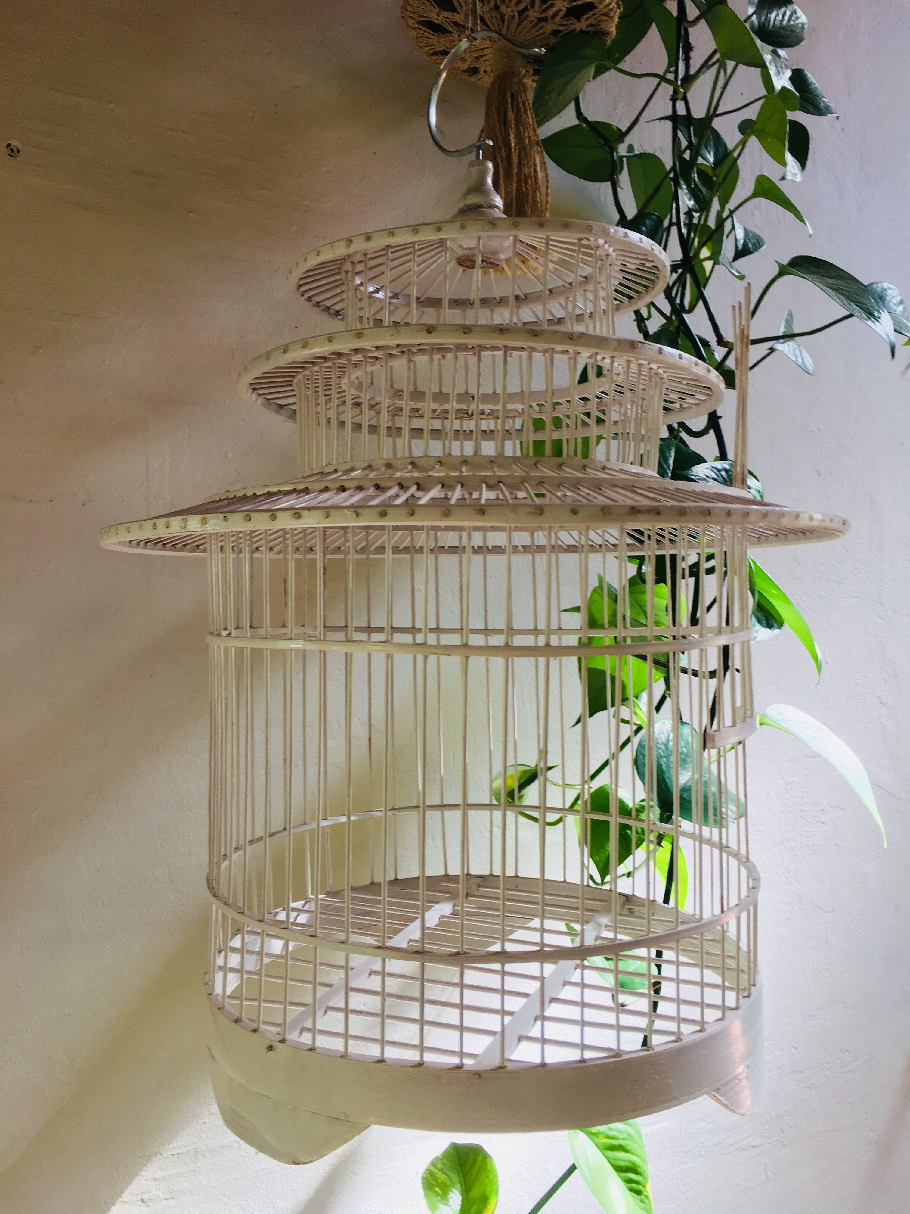 Cage à oiseau