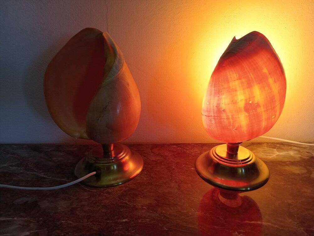 Shell table lamps, 1980s, set of 2