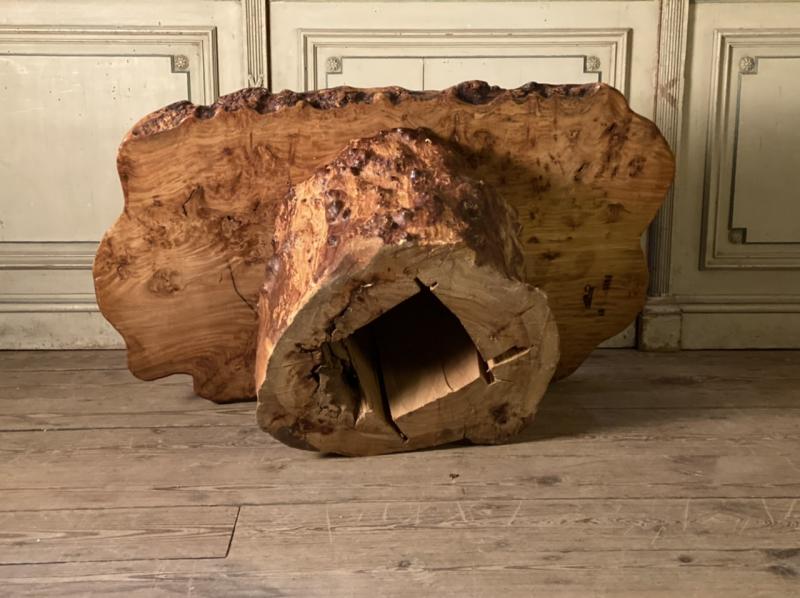 Salon table in racine vernie