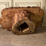 Salon table in racine vernie