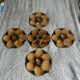 5 oyster or scallop plates Sarreguemines