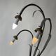 Lampadaire Art Nouveau Français