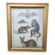 Gravure ancienne animalière