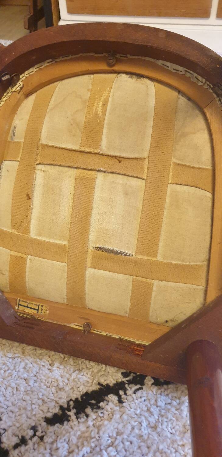 Six consorzio sedie friuli chairs