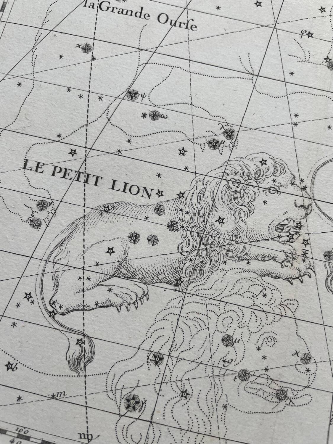 The Lynx and the Little Lyon - Astrology plate 1795