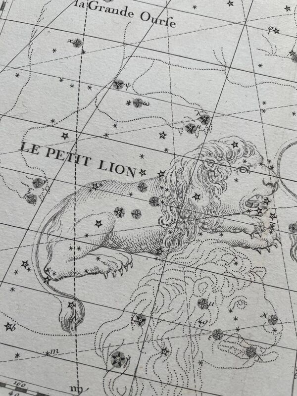Le Lynx et le Petit Lyon - Planche d’astrologie 1795