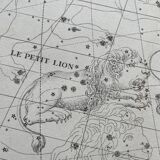 The Lynx and the Little Lyon - Astrology plate 1795