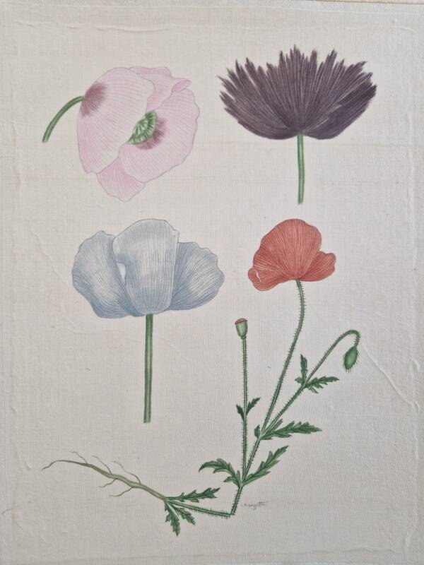 La Roche Laffitte (Born in 1943) - Watercolour drawing on silk - Poppies