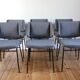 Series of 6 vintage modernist chairs Raphael Raffel, 1950s