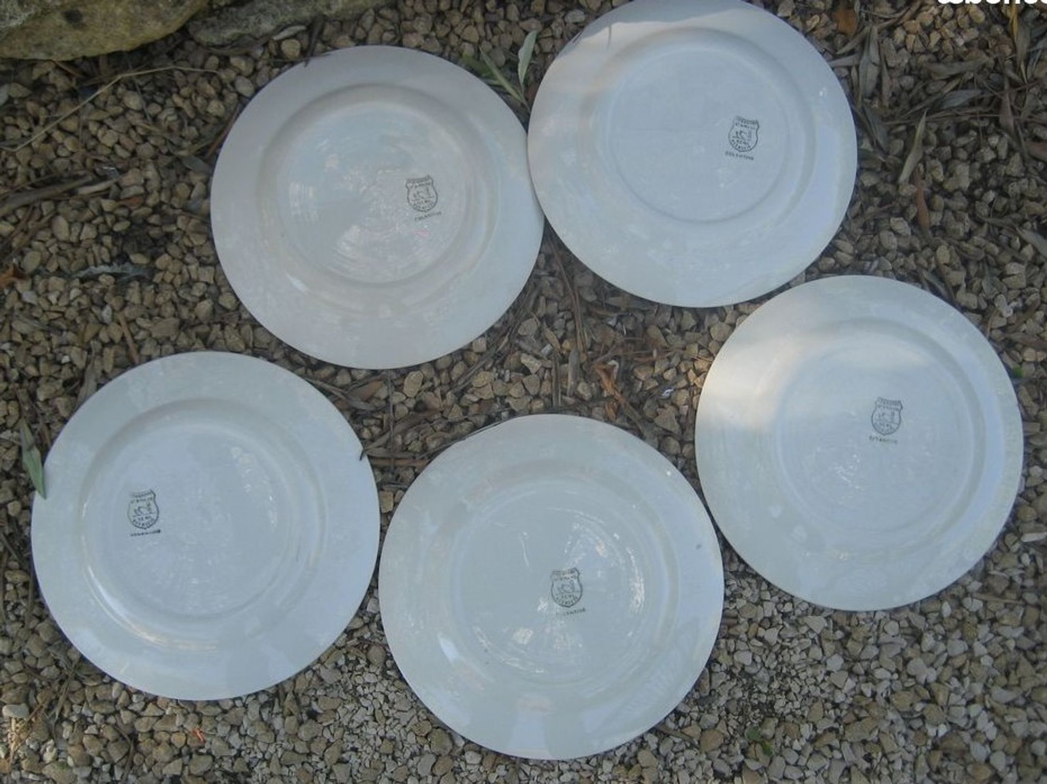Set de 5 assiettes Ceranord St Amand modèle Eglantine