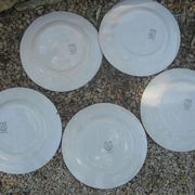Set de 5 assiettes Ceranord St Amand modèle Eglantine