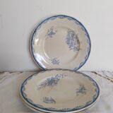 Assiettes plates en faïence de Sarreguemines , Watteau , U & C , années 50