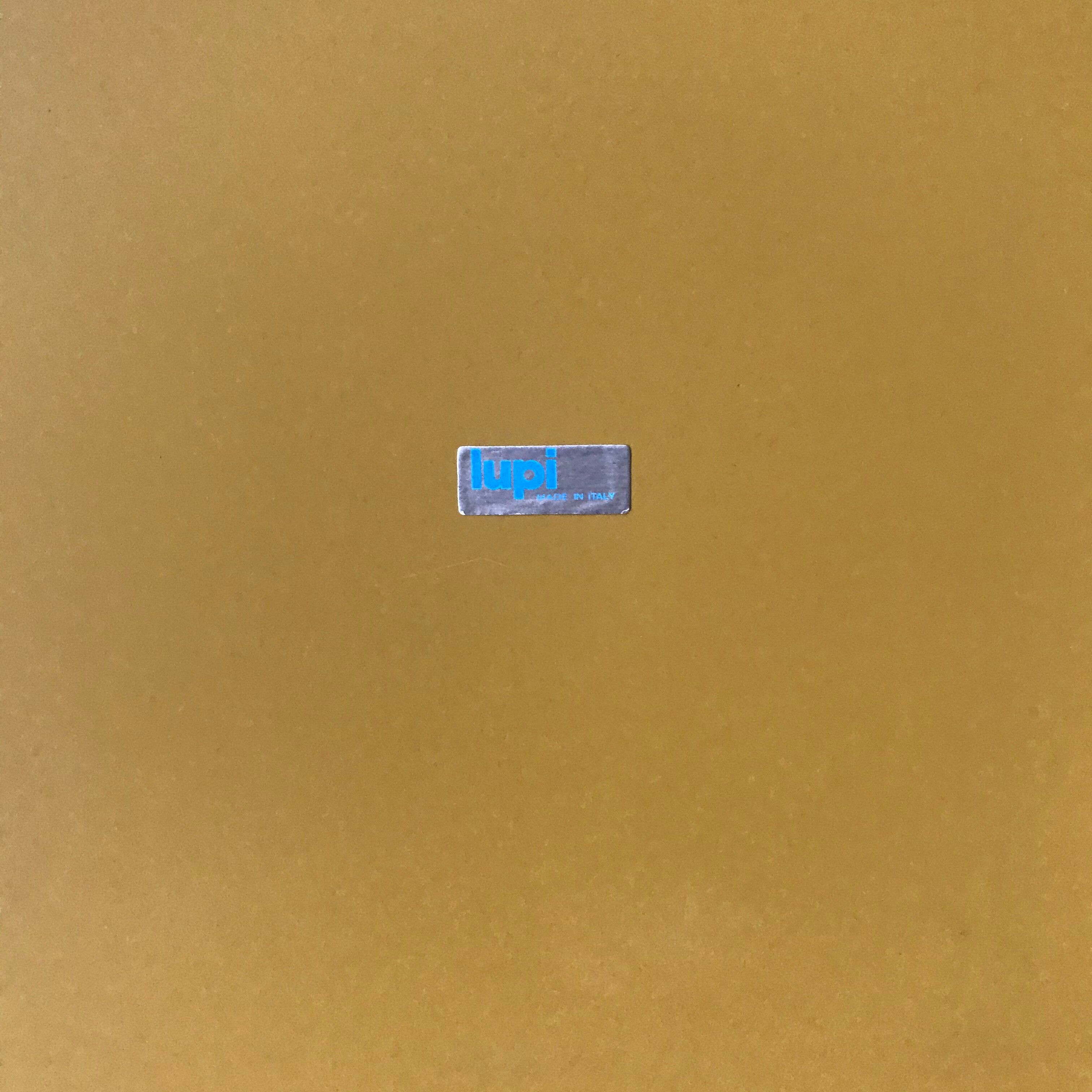 Italian vintage mirror Lupi 1970 67x53cm