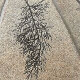 Vintage coffee table signed Barrois