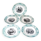 Sarreguemines lot de 5 assiettes parlantes série oiseaux faïence opaque