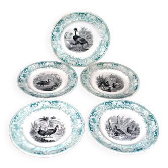 Sarreguemines set of 5 talking plates bird series opaque earthenware