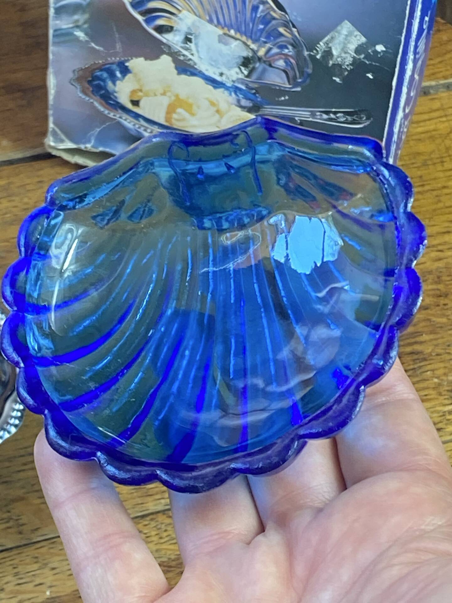 Shell-shaped butter dish in stainless steel and blue glass