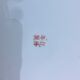 Assiette chinoise motif dit imari