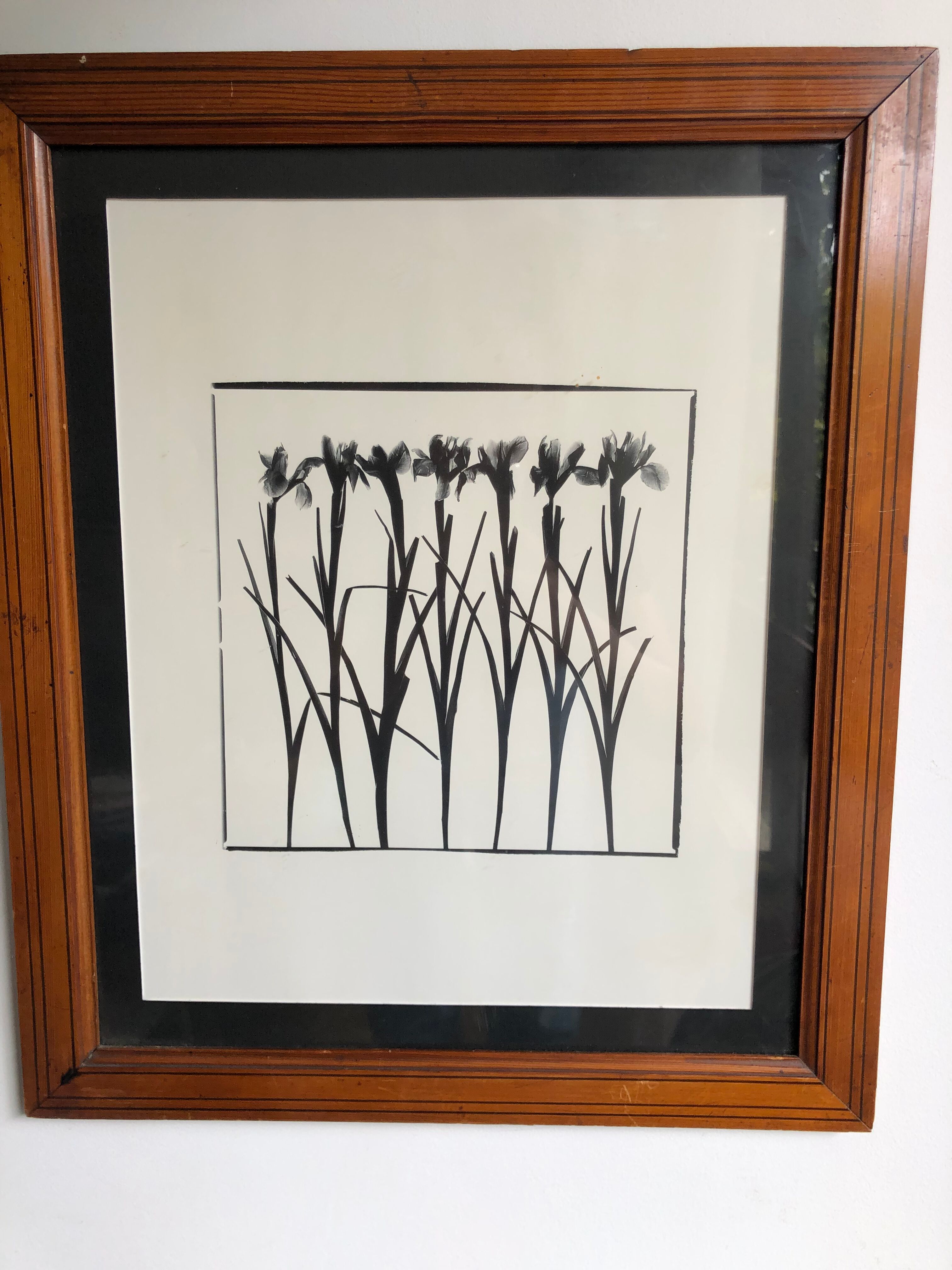 Flowers framed printing