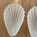 Pair of shell sconces