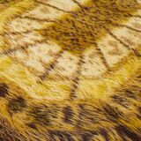 Tapis en laine de style scandinave, milieu XXème