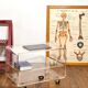 Transparent plexiglass roller table