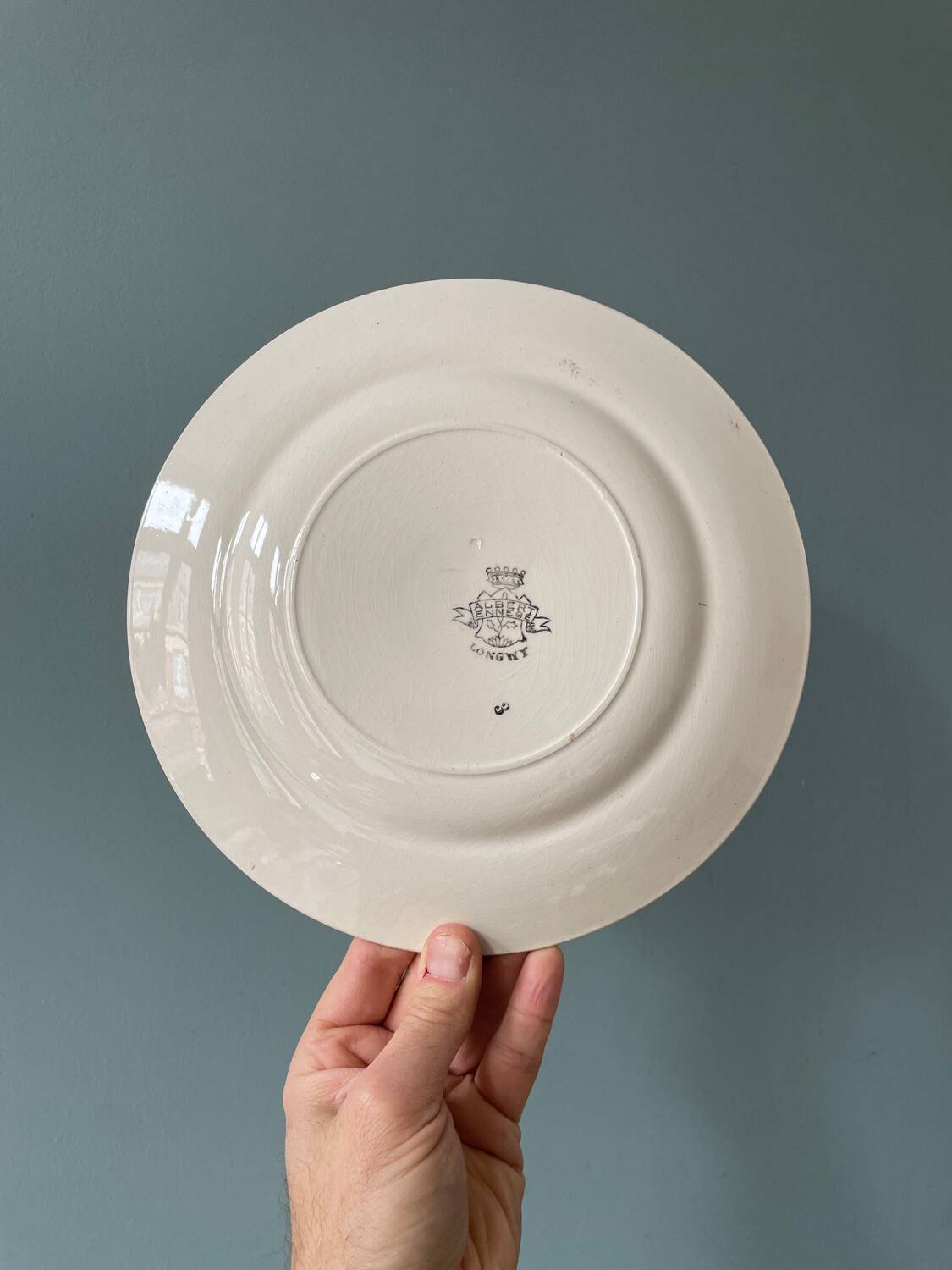 Série de 12 assiettes plates 1900 Terre de Fer en faïence de Longwy