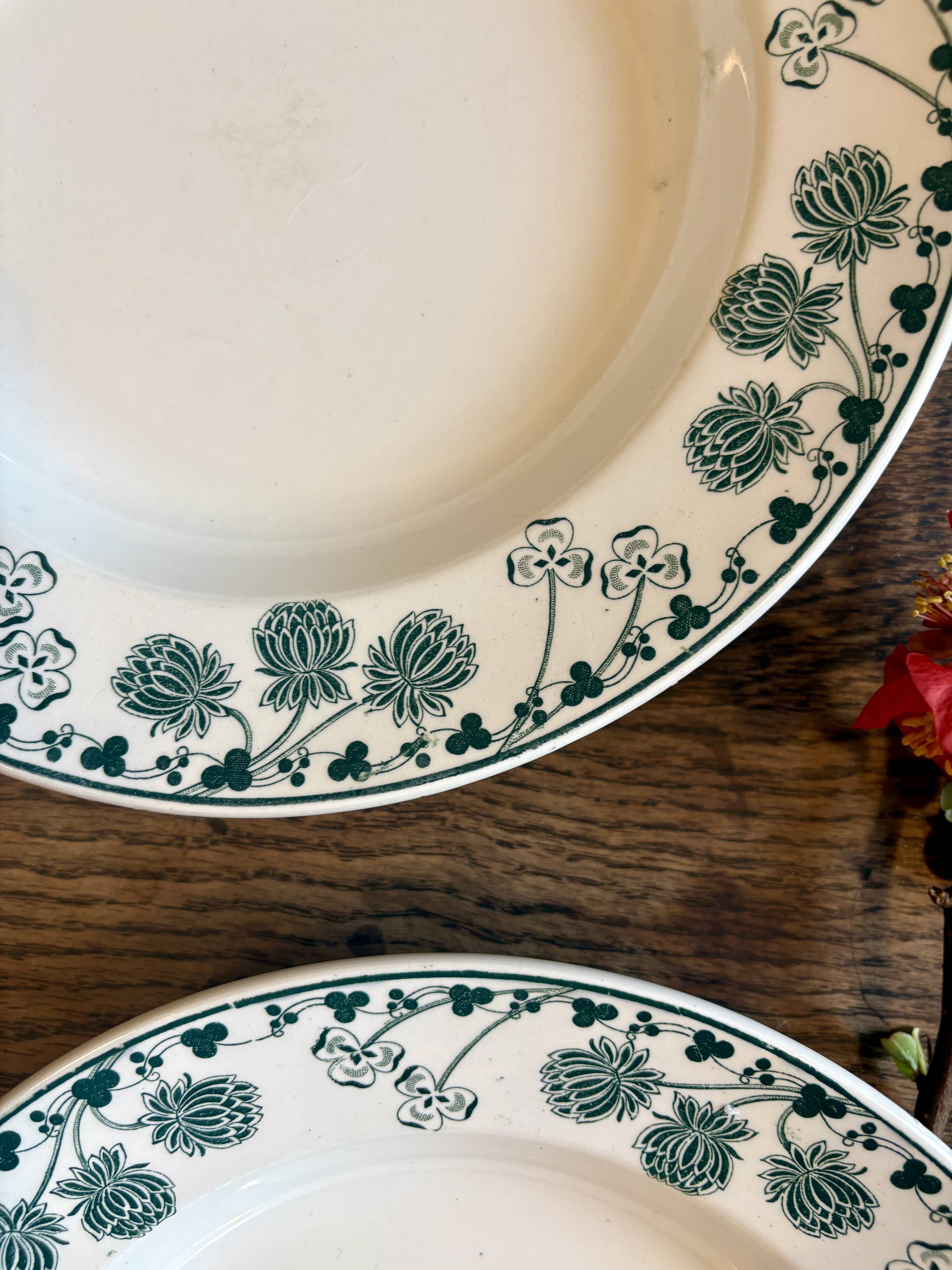 Set of 4 antique deep plates in ironstone - Clovers -