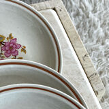 5 Gien dessert plates