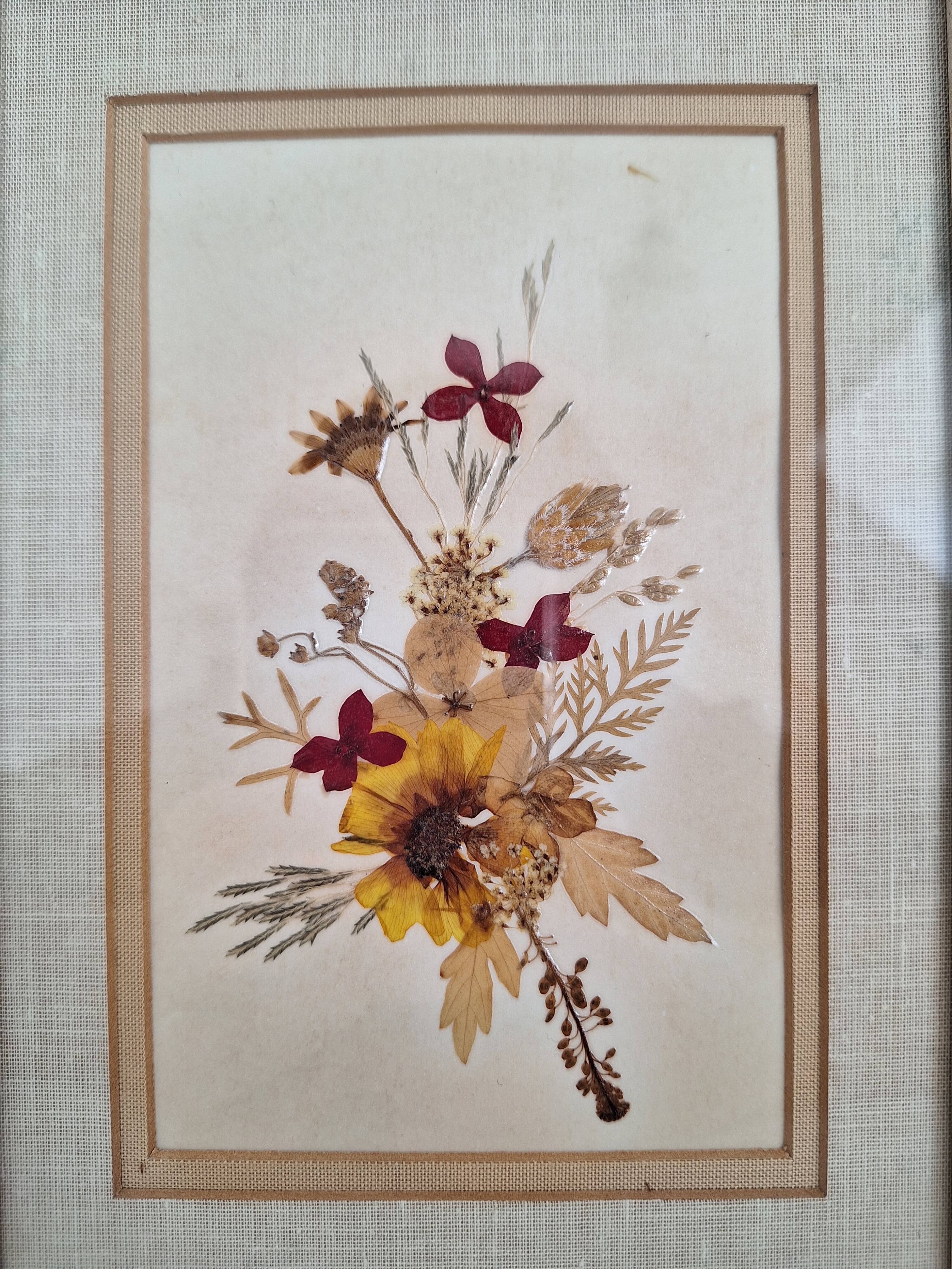 Frame dried flowers