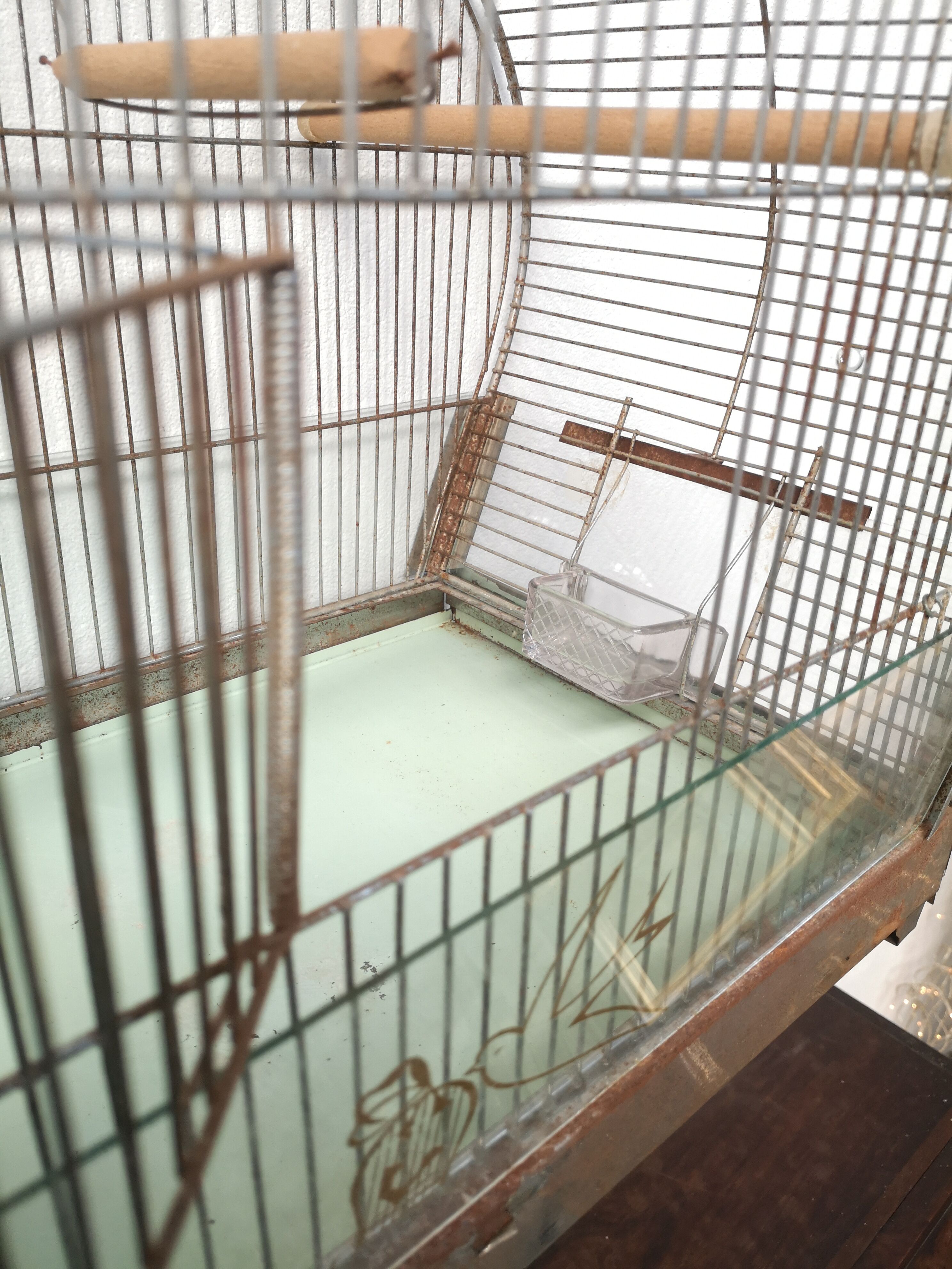 30 year old bird cage