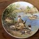 Porcelain plate by Sergio Budicin