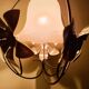 Mathias tulip chandelier