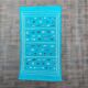 Turquoise Berber Moroccan rug bohemian