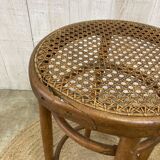 Fischel cane stool