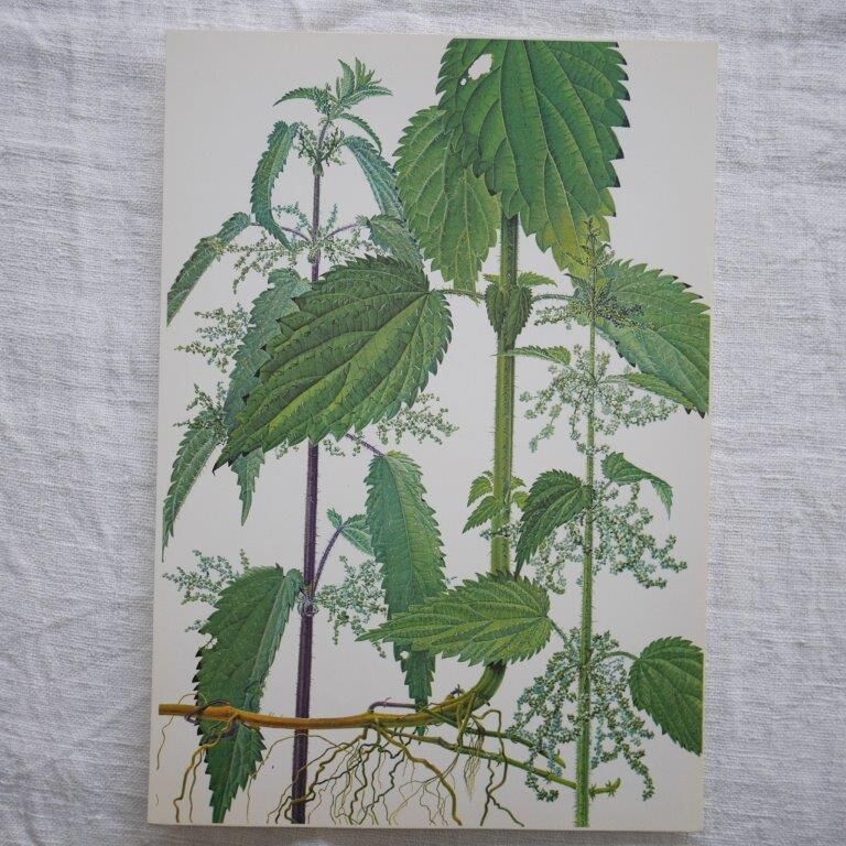 Set of 2 botanical boards Geigy