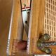 Pair of tennis rackets 1960