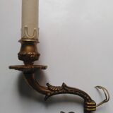 Bronze duck head wall lamp