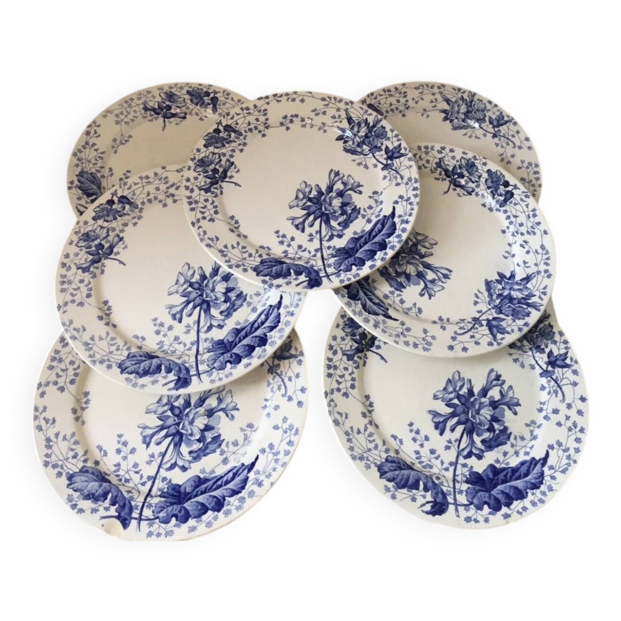 Ironstone plate Creil and Montereau primrose decoration 19th century