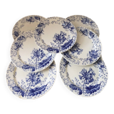 Ironstone plate Creil and Montereau primrose decoration 19th century