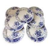 Ironstone plate Creil and Montereau primrose decoration 19th century