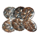 Lot de 6 assiettes  huîtres métal