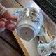 6 tasses Windsor 1981 – Jardin anglais fleuri