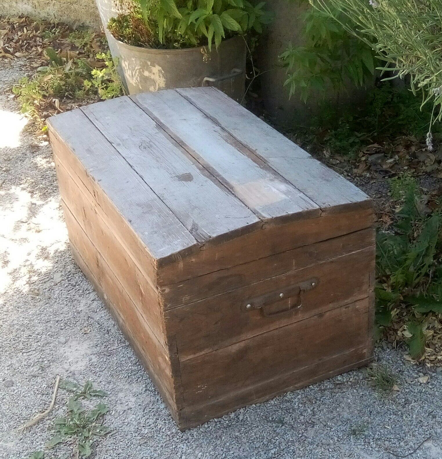 Wooden trunk